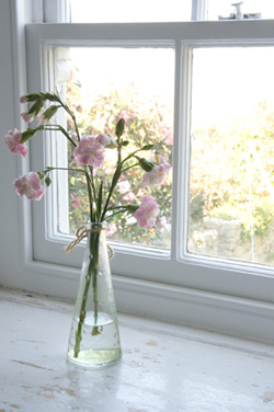 Chy Lowena self-catering holiday cottage